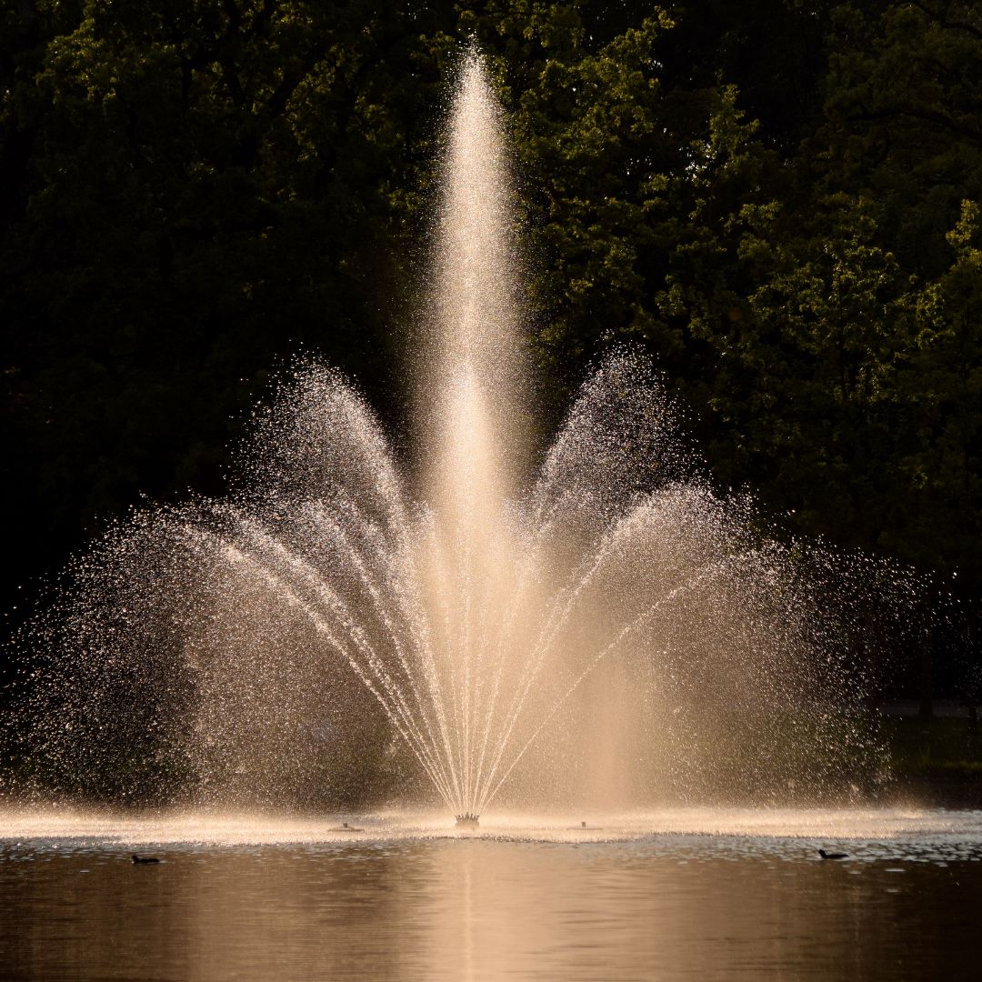 Society Fountain Construction